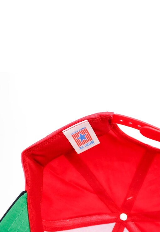 garment image