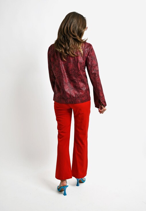 garment image