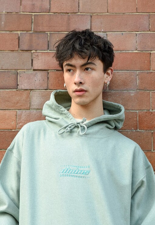 garment image