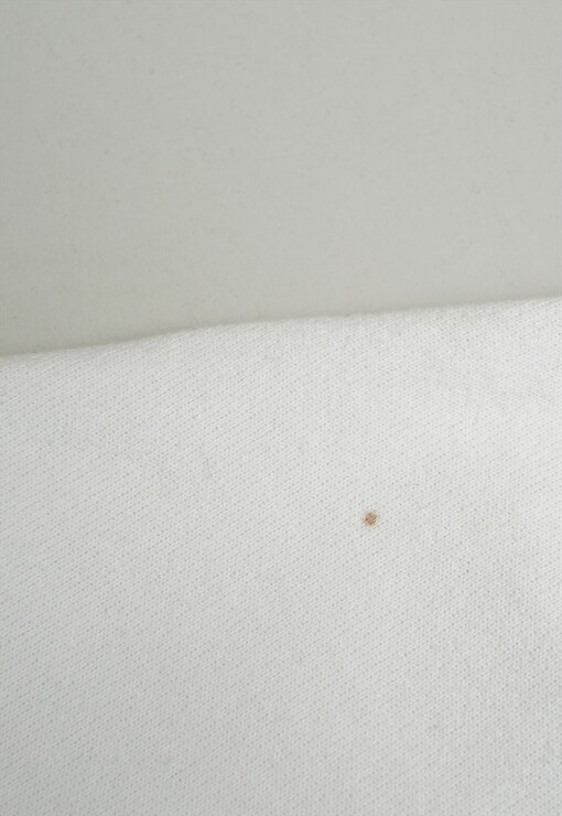 garment image