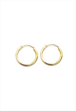 Gold Stainless steel hoop earrings