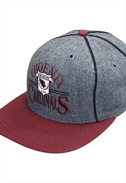 NFL Phoenix Cardinals Grey Snapback