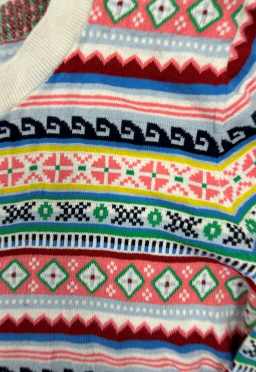 garment image