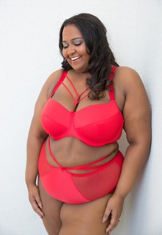 RED ECSTASY PLUS SIZE BRIEFS, KNICKERS
