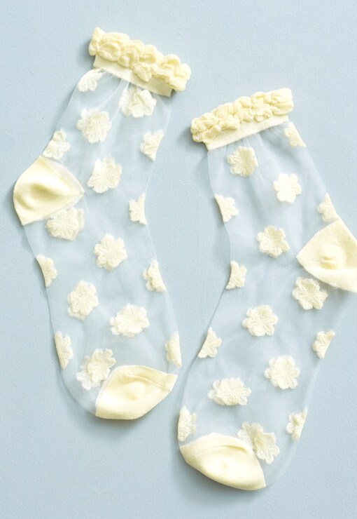 garment image