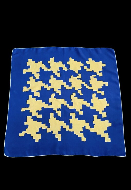 garment image