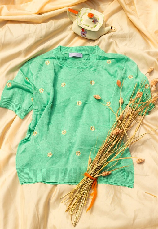 garment image