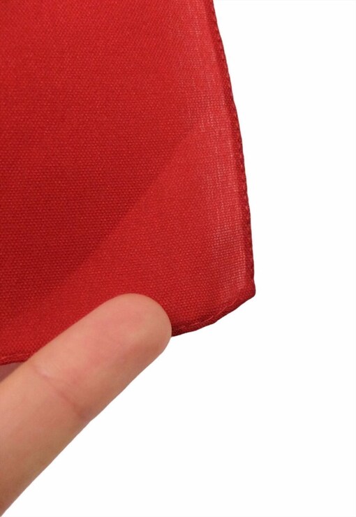 garment image