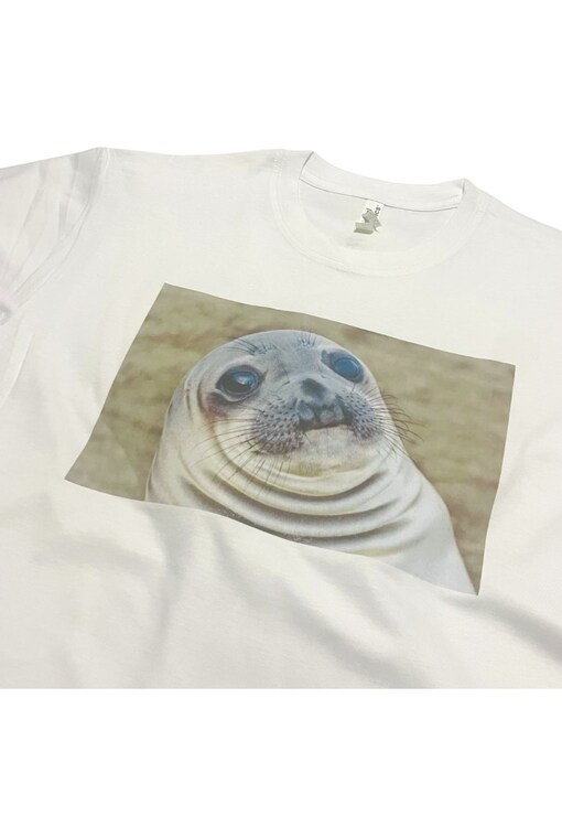 garment image