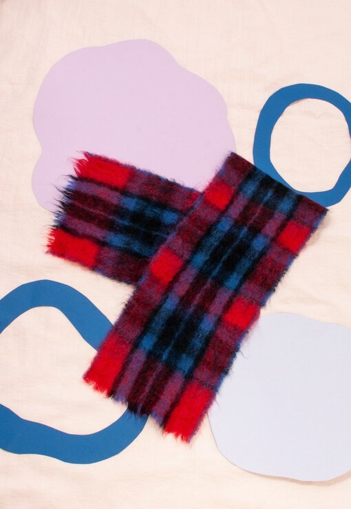 garment image