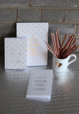 3 NOTEBOOK SET A5 A6 IN GODDESS WHITE METALLIC SILVER PRINT