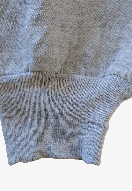 garment image