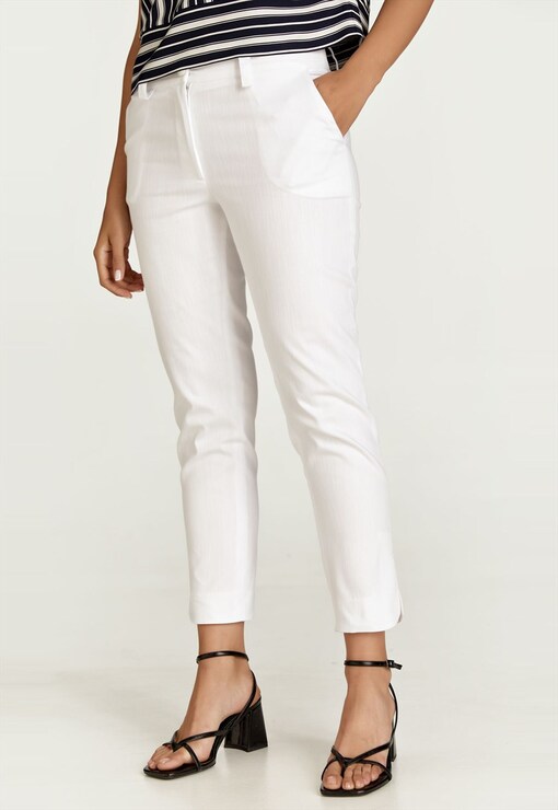 garment image