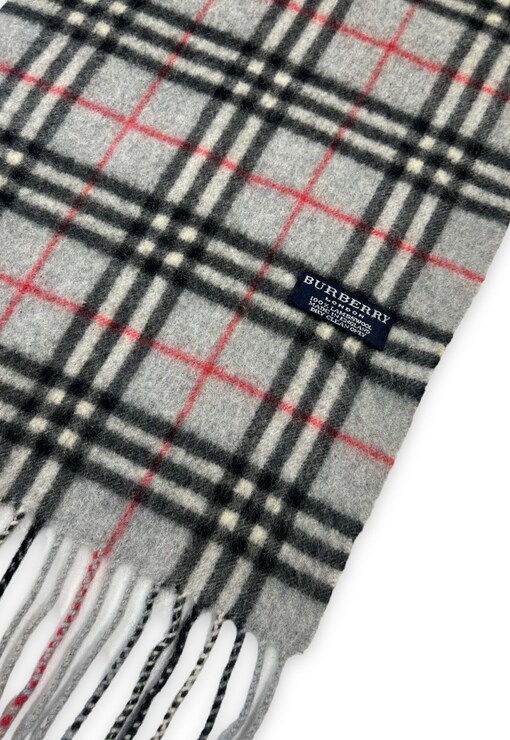 garment image