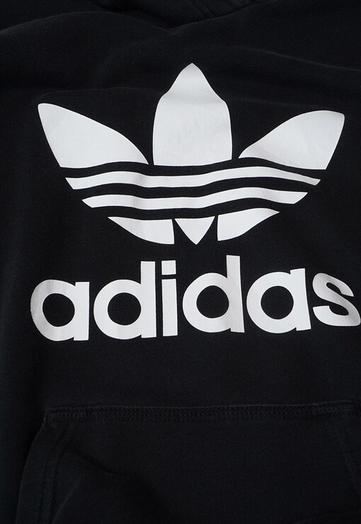 garment image