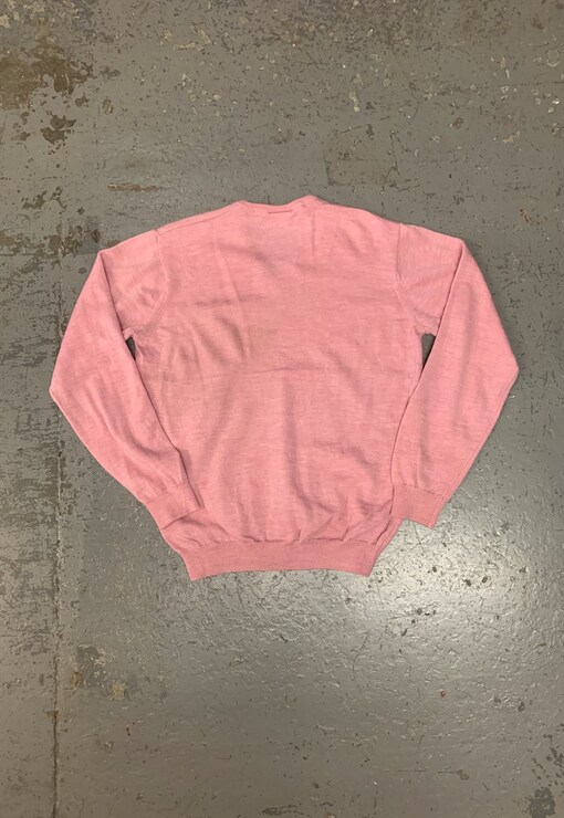 garment image