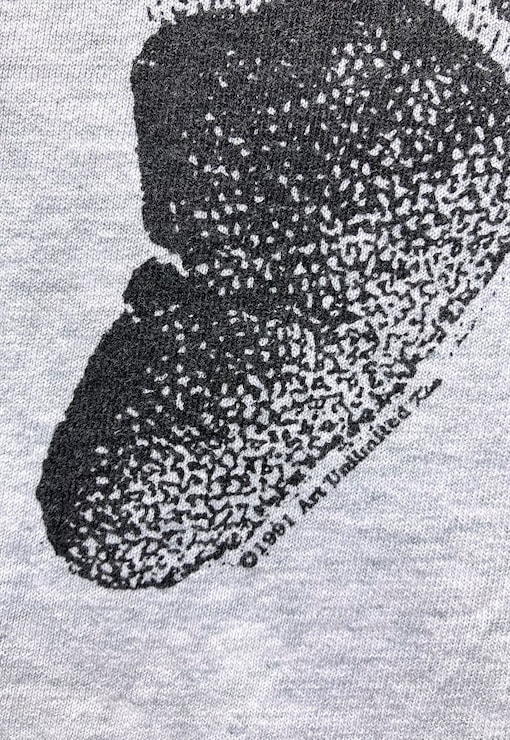 garment image