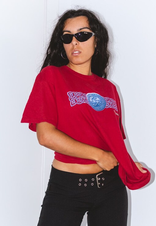 garment image