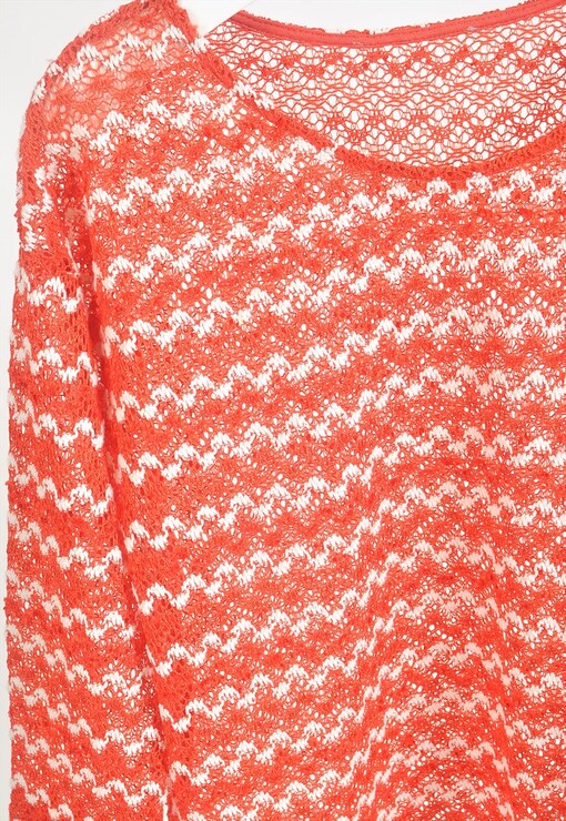 garment image