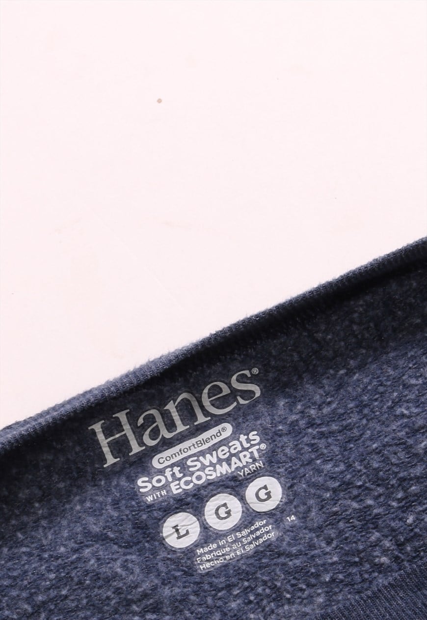 Hanes comfortblend soft hot sale sweats with ecosmart yarn