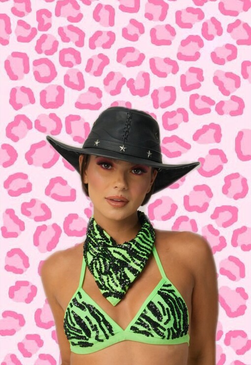 garment image