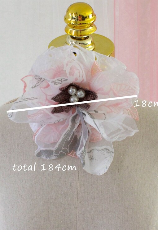 garment image