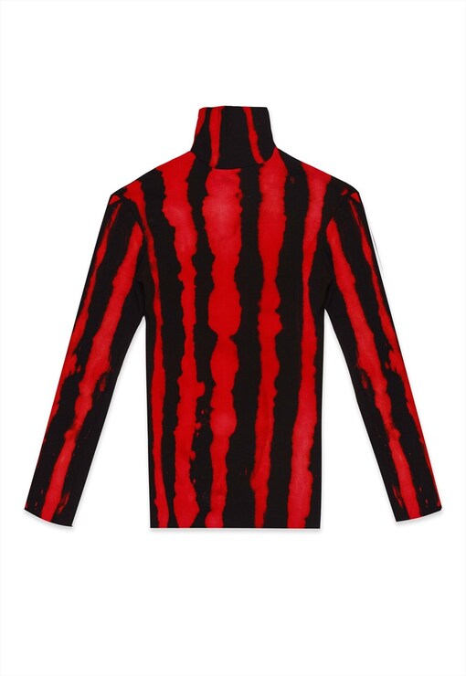 garment image