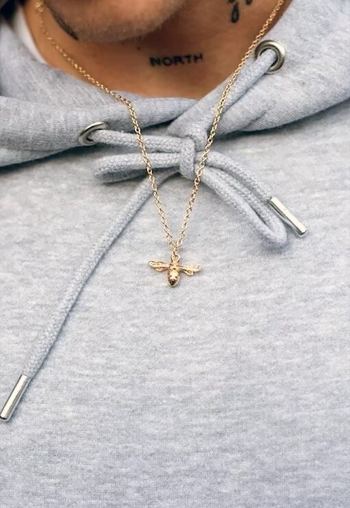 garment image
