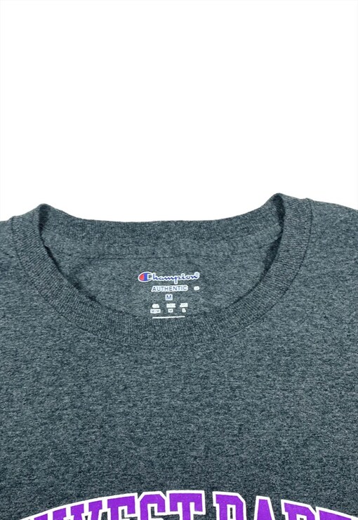 garment image