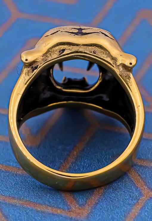 garment image