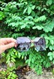 70'S STYLE LARGE TORTOISE SHELL OMBRE SUNGLASSES