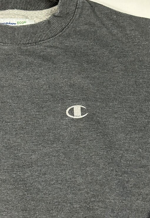 garment image