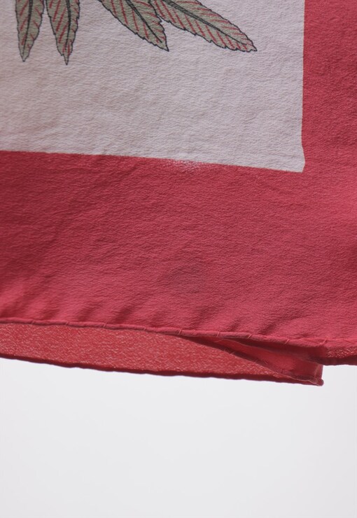 garment image