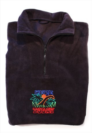 EMBROIDERED DINOSAUR GRAPHIC 1/4 ZIP COSY FLEECE SWEATSHIRT