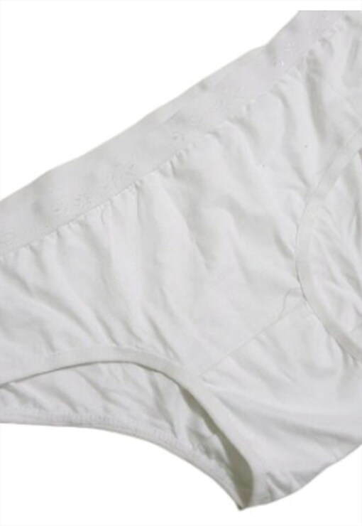 garment image