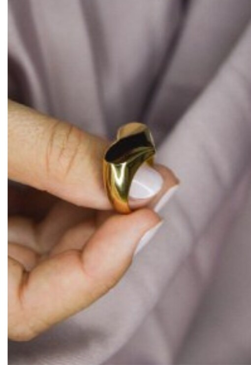 garment image