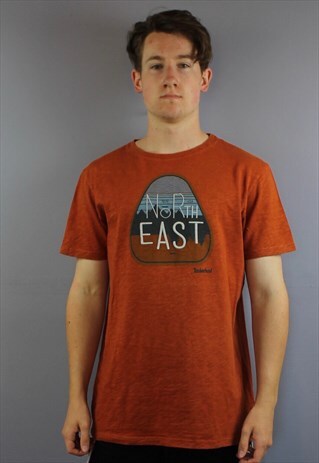 VINTAGE TIMBERLAND T SHIRT IN BROWN WITH PRINTING AND EMBROI
