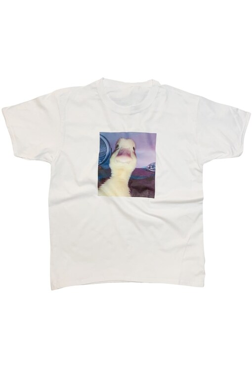 garment image