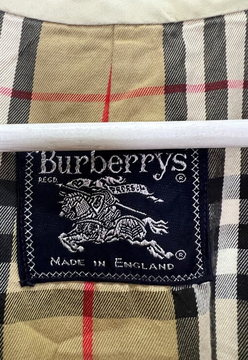 garment image
