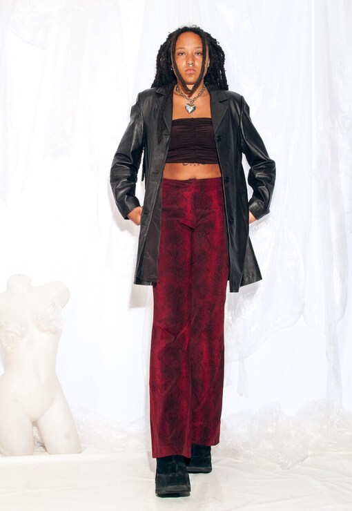 garment image