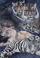 BLUE MARBLED FELIDAE T-SHIRT
